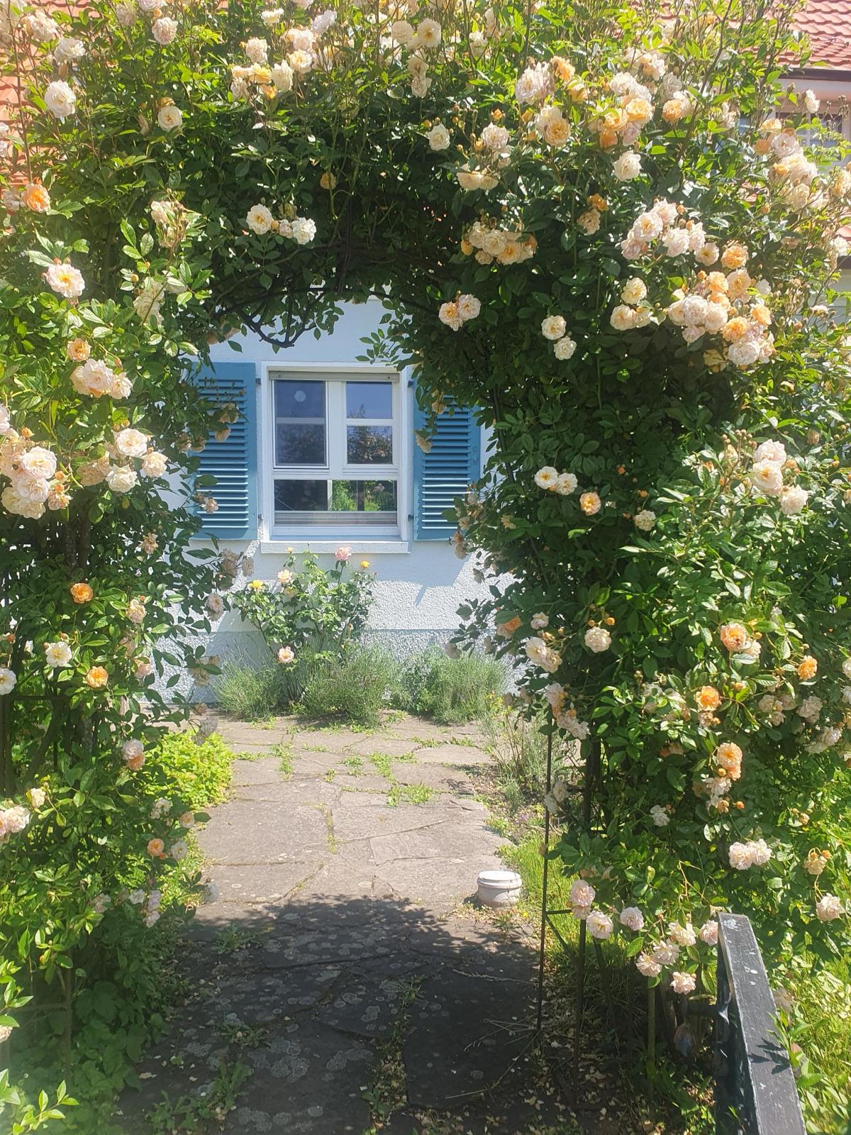Ruhige Meditation — Klassische Homöopathie Hattingen